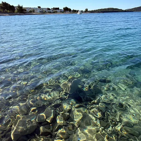 La Mar * Drage